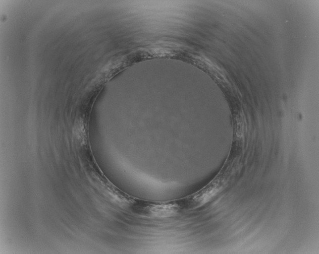 X0000072970465200608041222