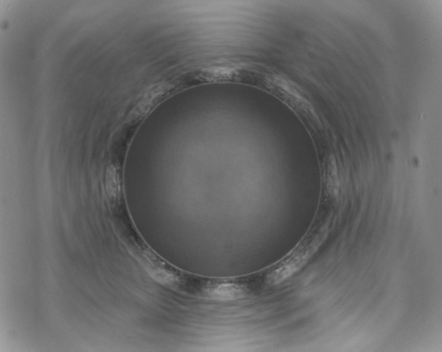 X0000072970467200608041222