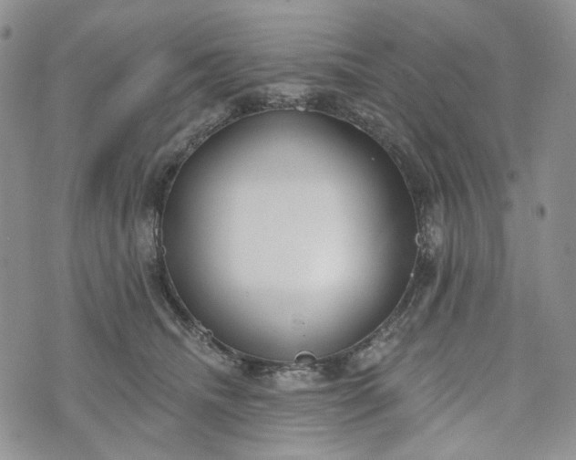 X0000072970468200608041222