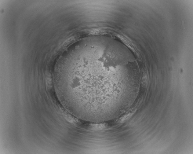 X0000072970469200608041222