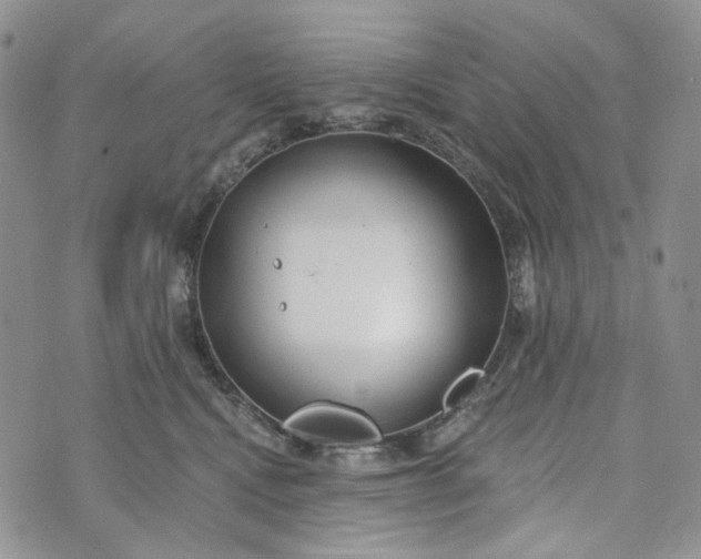 X0000072970472200608041222