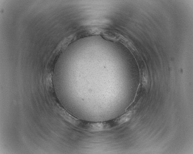 X0000072970473200608041222