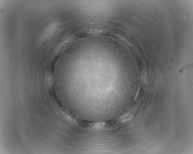 X0000072970474200608041222