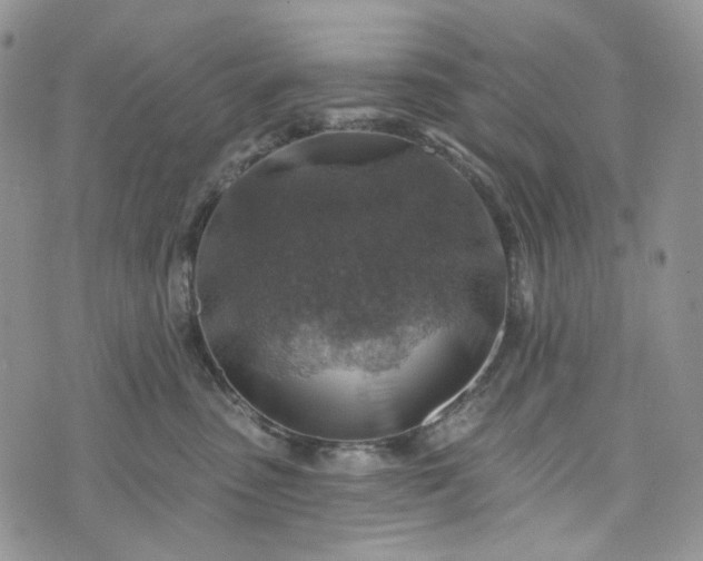 X0000072970475200608041222