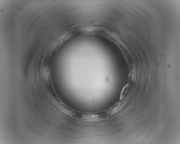 X0000072970476200608041222