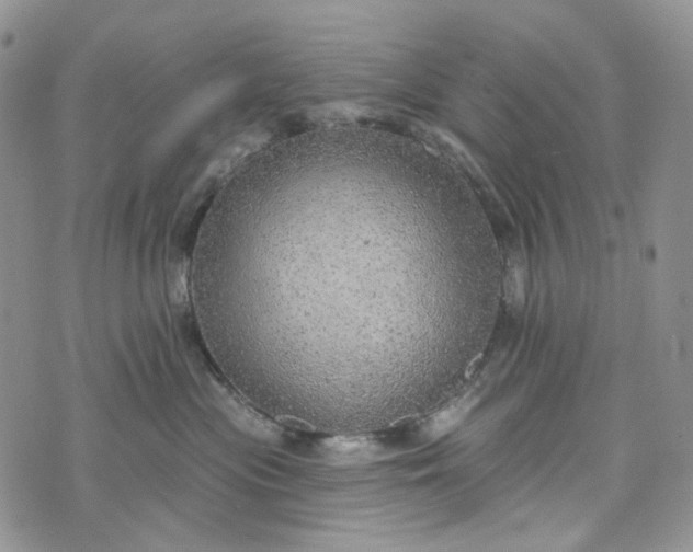 X0000072970477200608041222