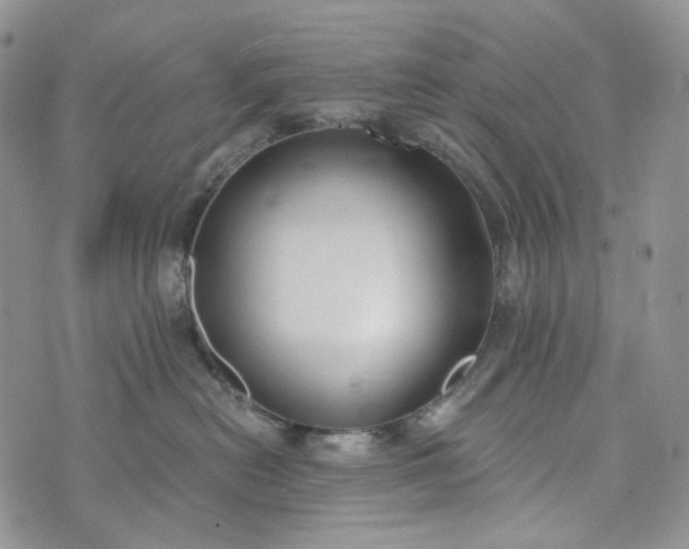 X0000072970478200608041222