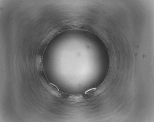 X0000072970480200608041223