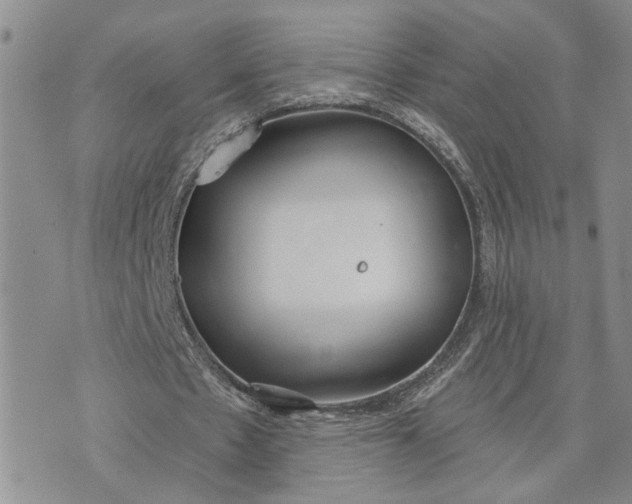 X0000072970481200608041222