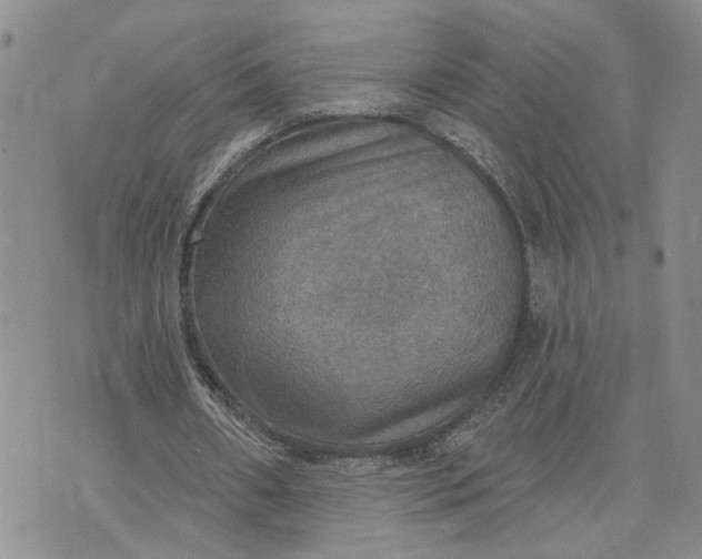 X0000072970482200608041222