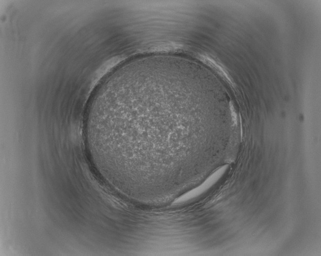 X0000072970483200608041222