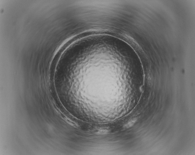 X0000072970484200608041222