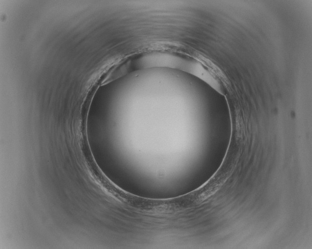 X0000072970485200608041222