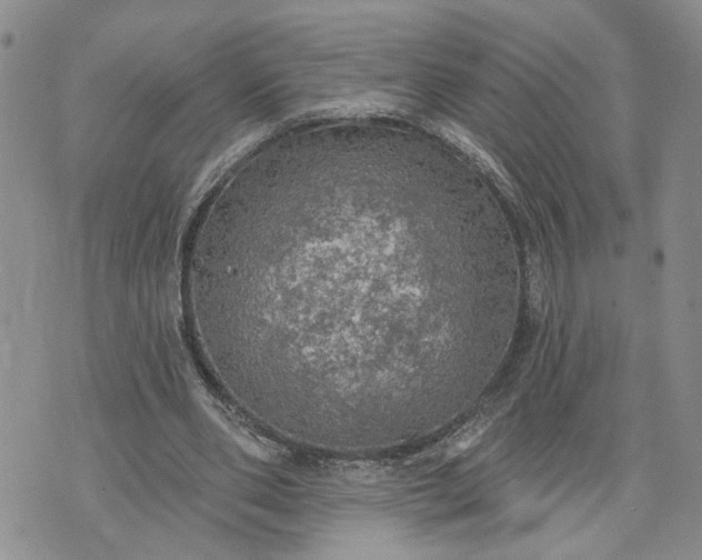 X0000072970486200608041222