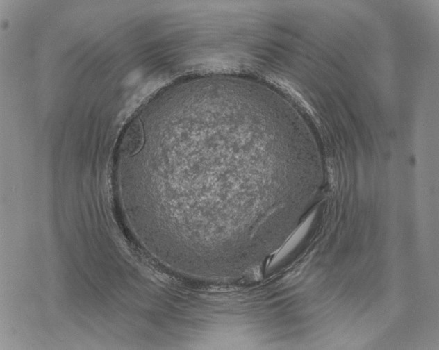 X0000072970487200608041222