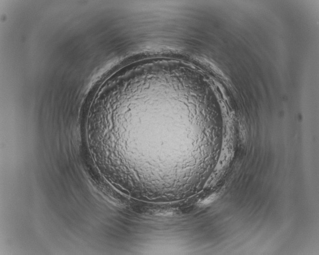 X0000072970488200608041222