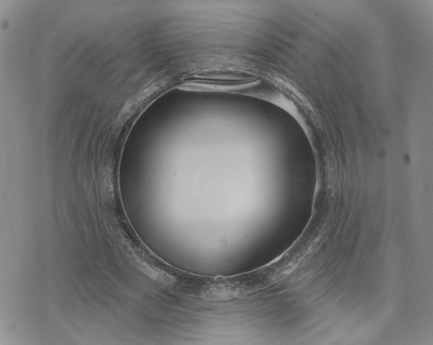 X0000072970489200608041222