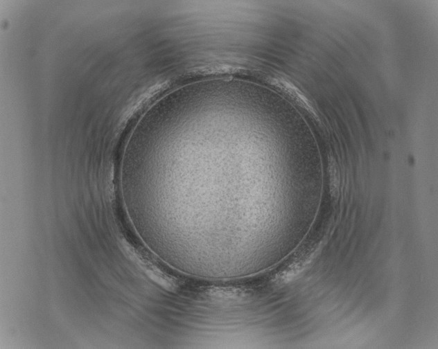 X0000072970490200608041222