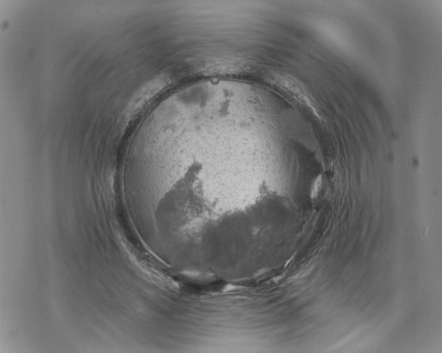 X0000072970491200608041222