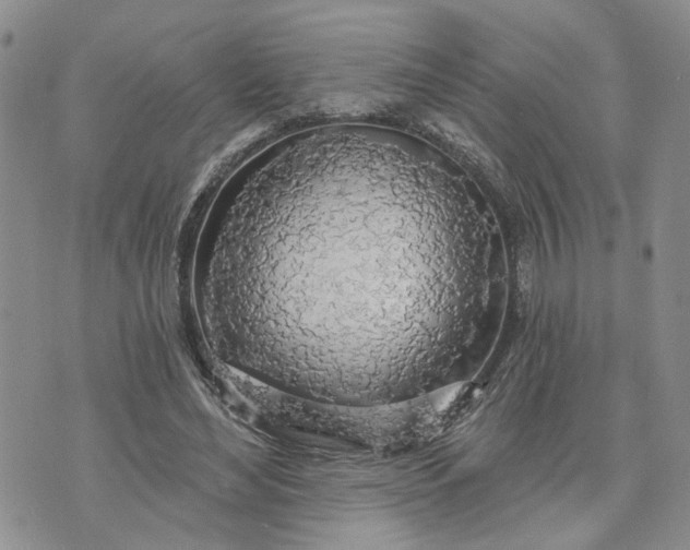 X0000072970492200608041222