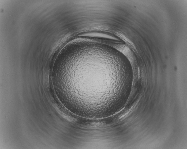 X0000072970493200608041222