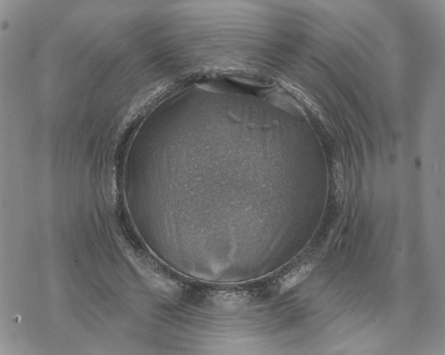 X0000072970494200608041222