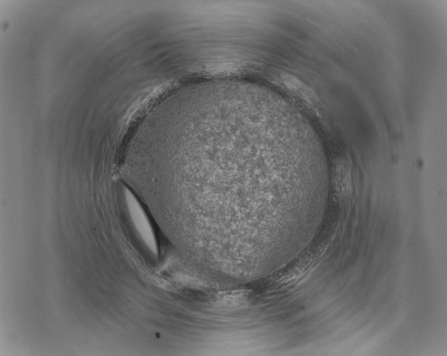 X0000072970495200608041221