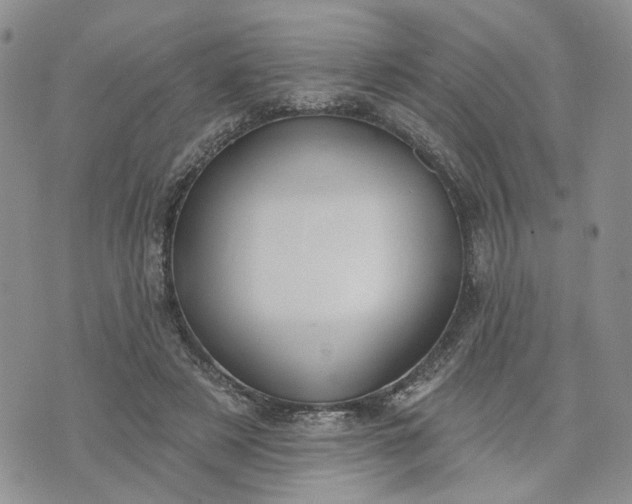 X0000072970497200608041221