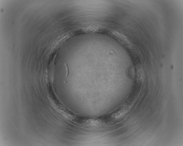 X0000072970498200608041221