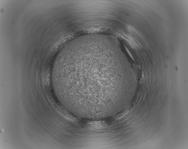 X0000072970499200608041221