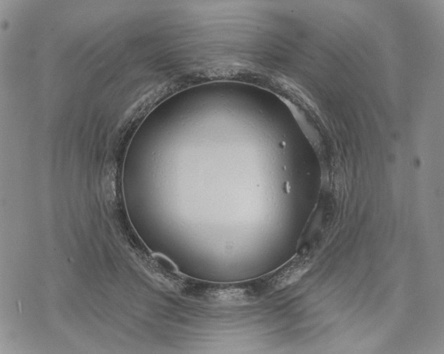 X0000072970501200608041221