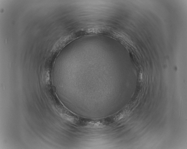 X0000072970502200608041221