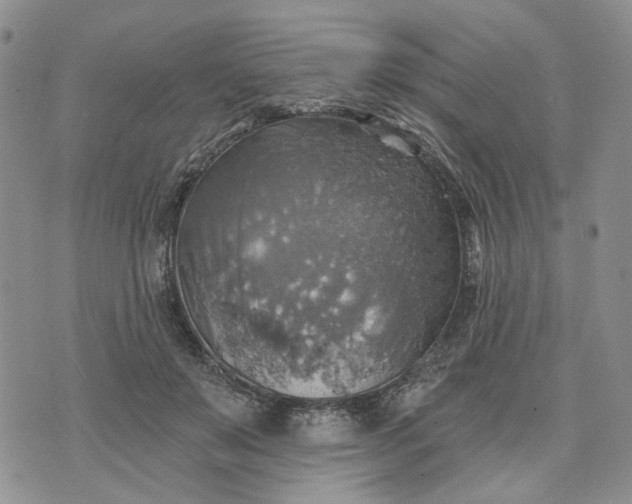 X0000072970503200608041221