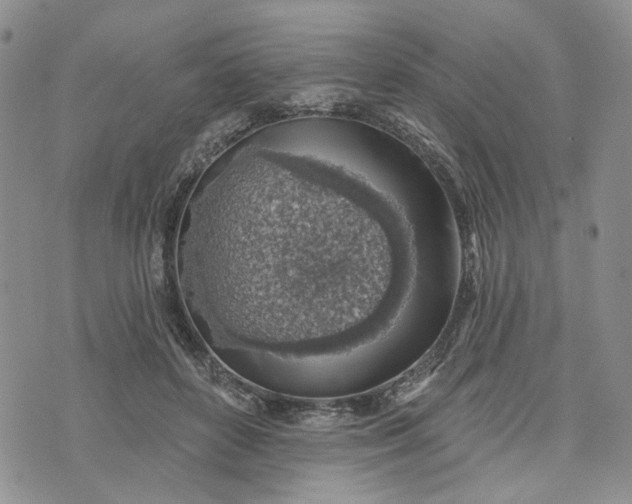 X0000072970504200608041221