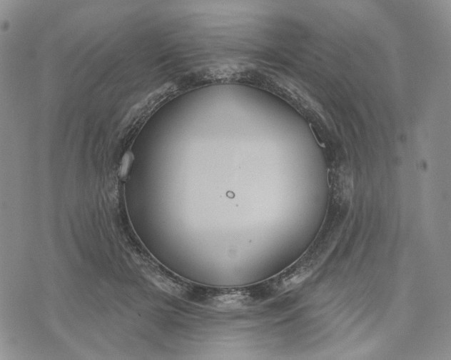 X0000072970505200608041221