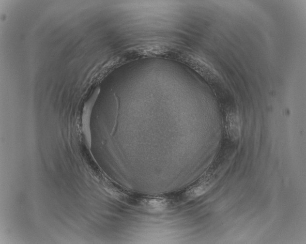 X0000072970506200608041221