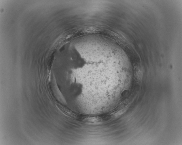 X0000072970507200608041221