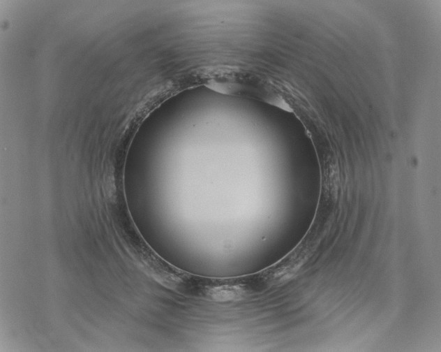 X0000072970508200608041221