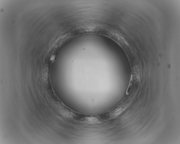 X0000072970509200608041221