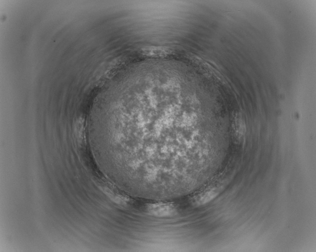 X0000072970511200608041221