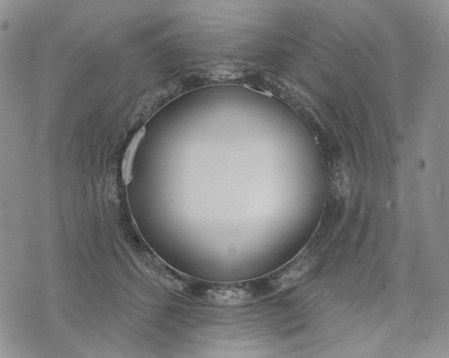 X0000072970512200608041221