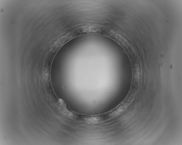 X0000072970513200608041221