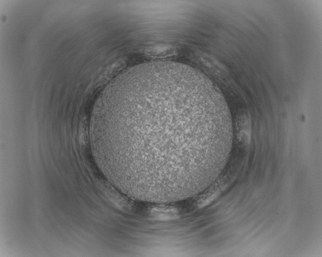 X0000072970515200608041221