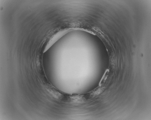 X0000072970516200608041221