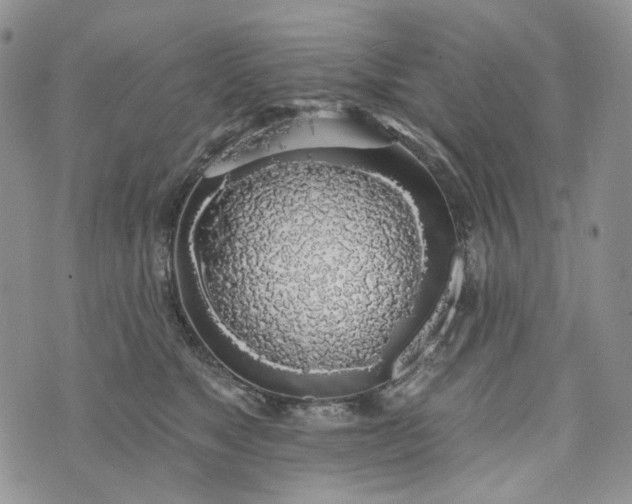 X0000072970517200608041221