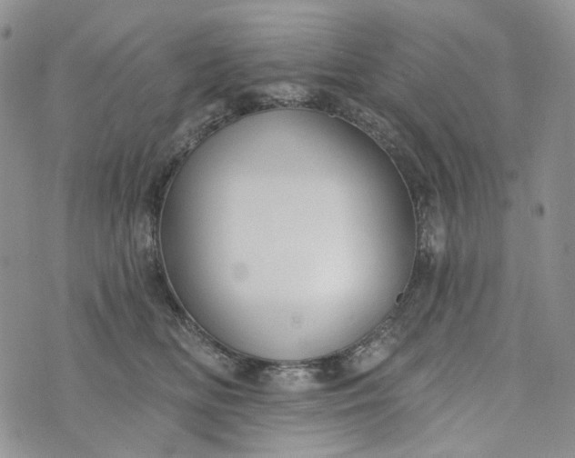 X0000072970518200608041221