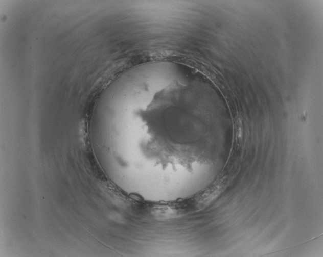 X0000072970519200608041221