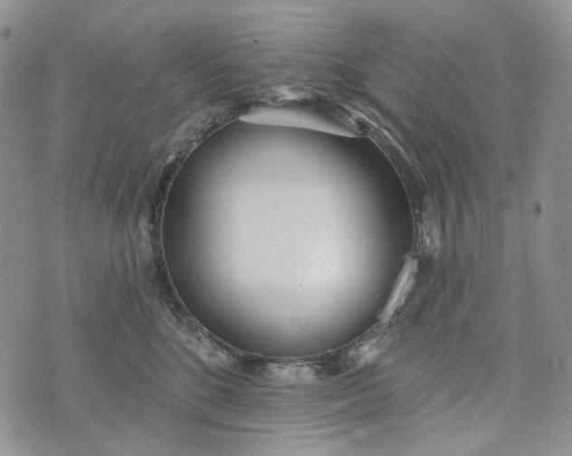 X0000072970520200608041221