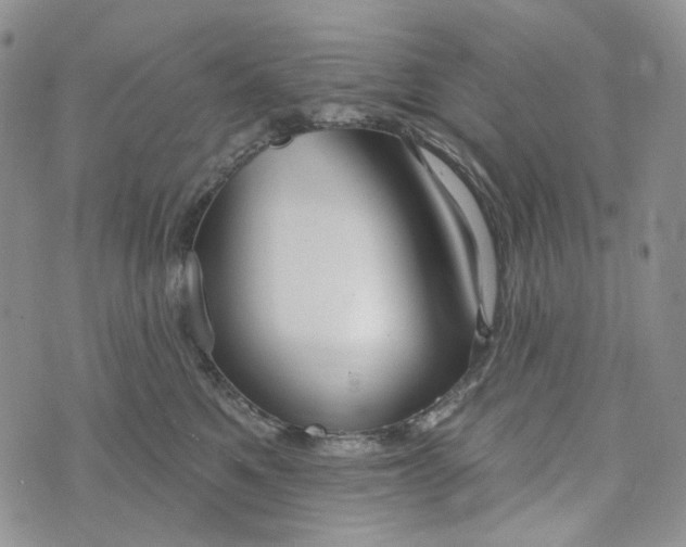 X0000072970521200608041221