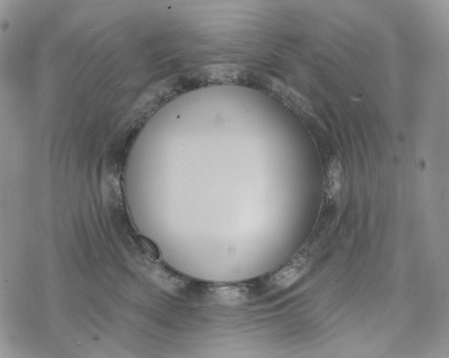 X0000072970522200608041221